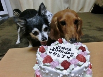 誕生日パーティー10.jpg