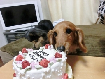 誕生日パーティー11.jpg