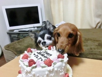 誕生日パーティー13.jpg