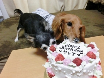 誕生日パーティー14.jpg