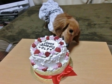 誕生日パーティー5.jpg
