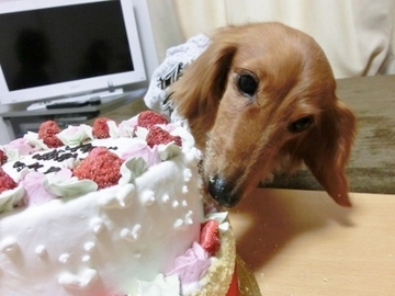 誕生日パーティー6.jpg