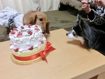 誕生日パーティー7.jpg