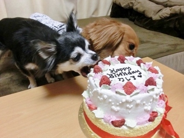 誕生日パーティー8.jpg