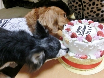誕生日パーティー9.jpg