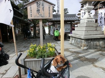 誕生日記念旅行36.jpg
