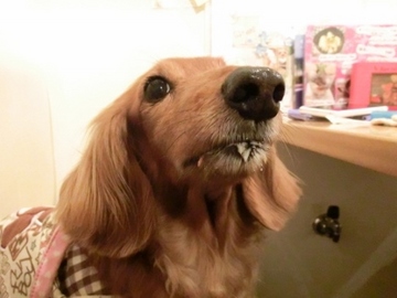 連れまわし13.jpg