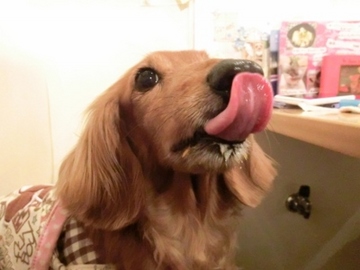 連れまわし14.jpg