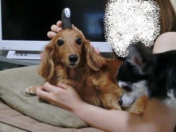 雷見舞い5.jpg