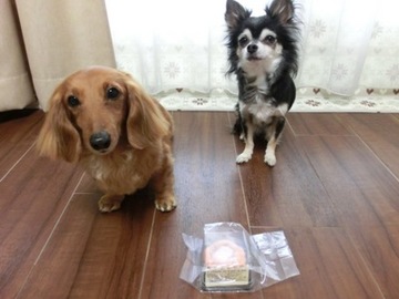 2ワンでロールケーキ1.jpg