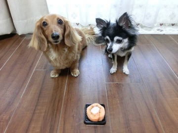 2ワンでロールケーキ2.jpg