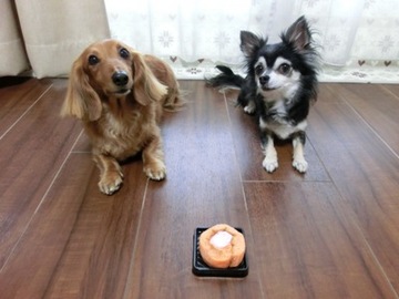 2ワンでロールケーキ3.jpg