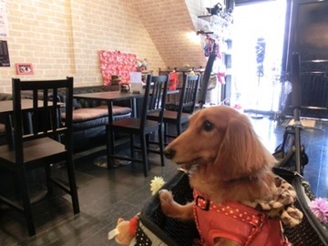 Newカフェ1.jpg