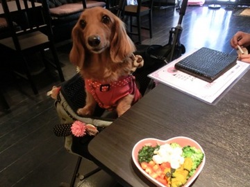Newカフェ3.jpg