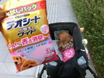 Newカフェ5.jpg